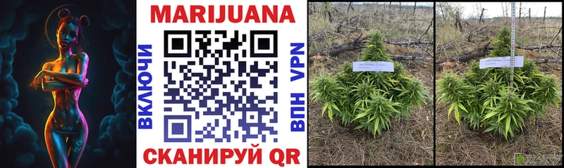 Сколько стоит Новотитаровская A-PVP Мефедрон ГАШИШ МАРИХУАНА Cocaine