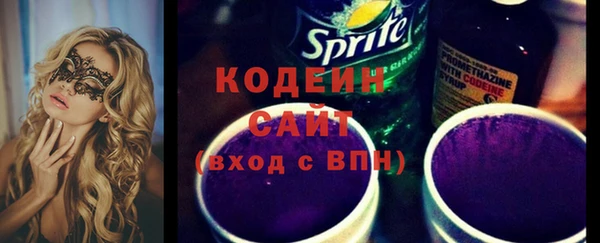 шишки Белокуриха