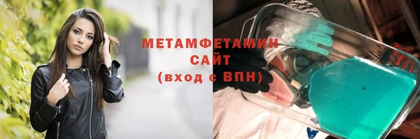 шишки Белокуриха