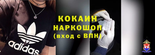 шишки Белокуриха