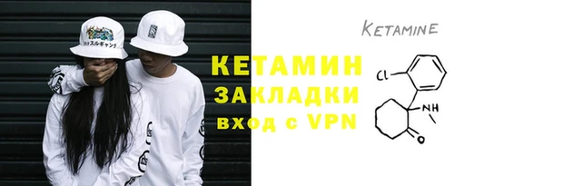 шишки Белокуриха