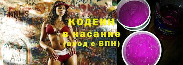 шишки Белокуриха