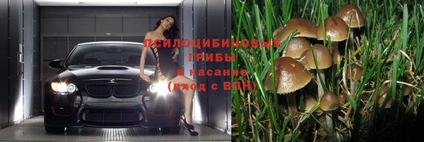 стафф Беломорск