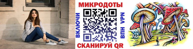 купить наркотики сайты  Новотитаровская  Галлюциногенные грибы Psilocybe 