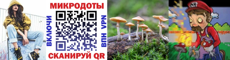 Псилоцибиновые грибы Cubensis Новотитаровская